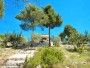 House Blue Lagoon