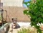 Apartman Aurelija 3