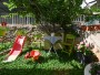 Apartman Lotus