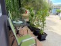 Apartman Karlo 3